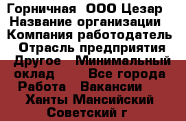 Горничная. ООО Цезар › Название организации ­ Компания-работодатель › Отрасль предприятия ­ Другое › Минимальный оклад ­ 1 - Все города Работа » Вакансии   . Ханты-Мансийский,Советский г.